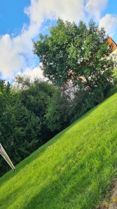 Wilhelmshoehe Alle Kassel Kültér fotó
